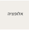 אלופציה
