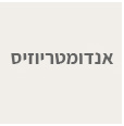 אנדומטריוזיס