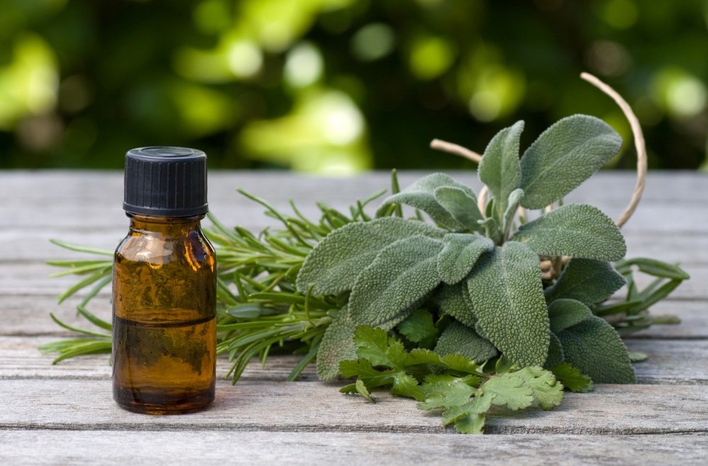 צמחי מרפא מומלצים לגיל המעבר